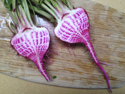 Chioggia