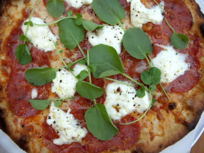 The Calabrian