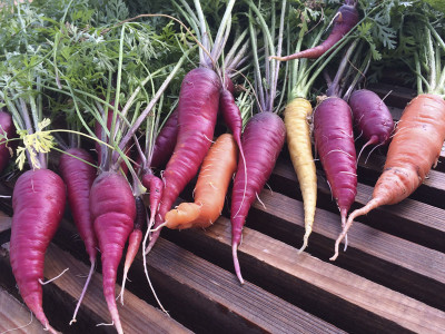 Real Carrots