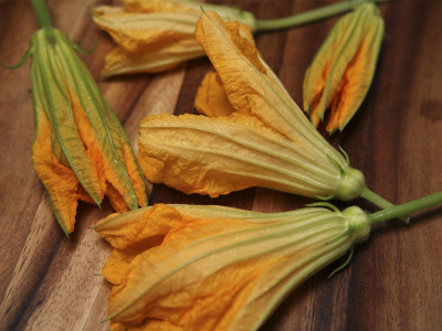 Squash Blossoms